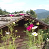 作業小屋。