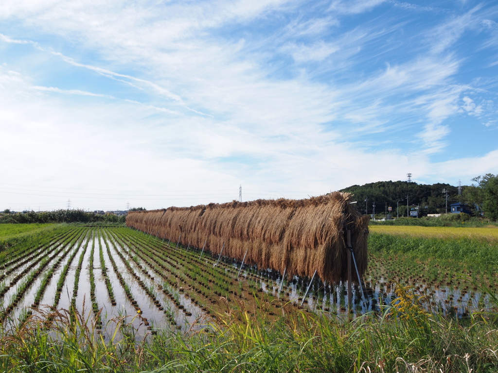 田舎の光景