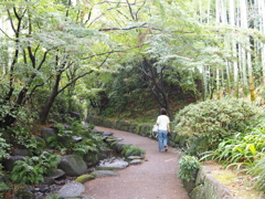 丈山苑にて