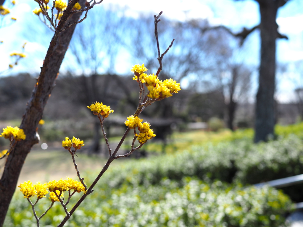 西山公園にて