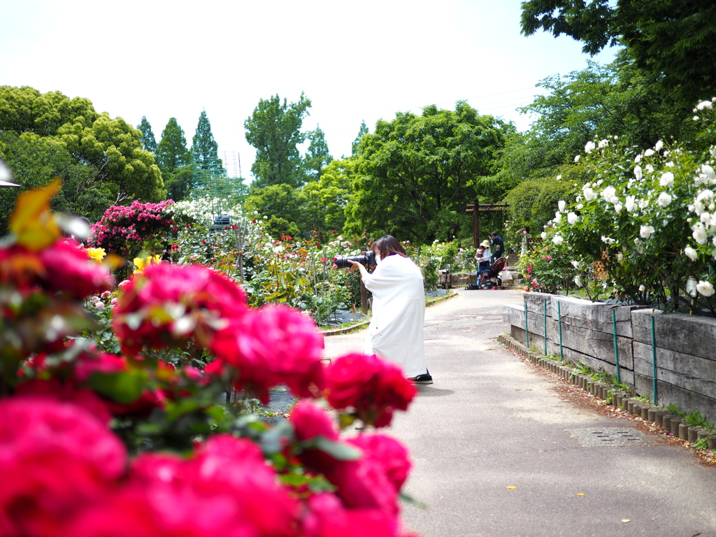 職業写真家さん。