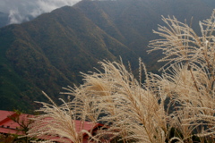 秋・遠山郷１