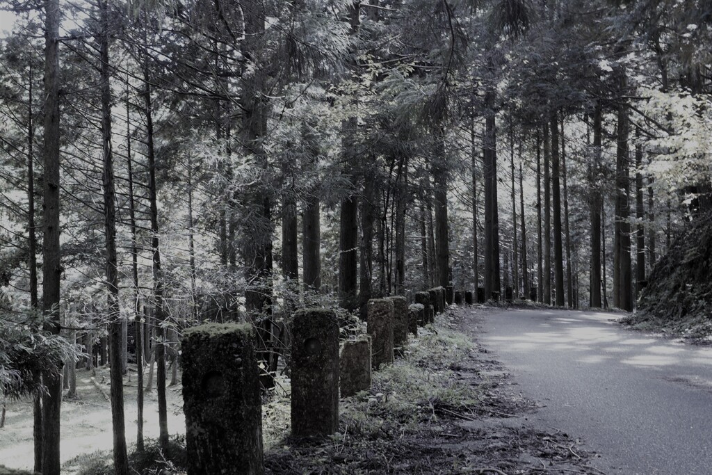 旧酷道。