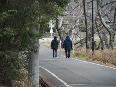 寒いけれど頑張りましょう。