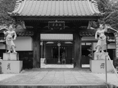 明知鉄道番外編３