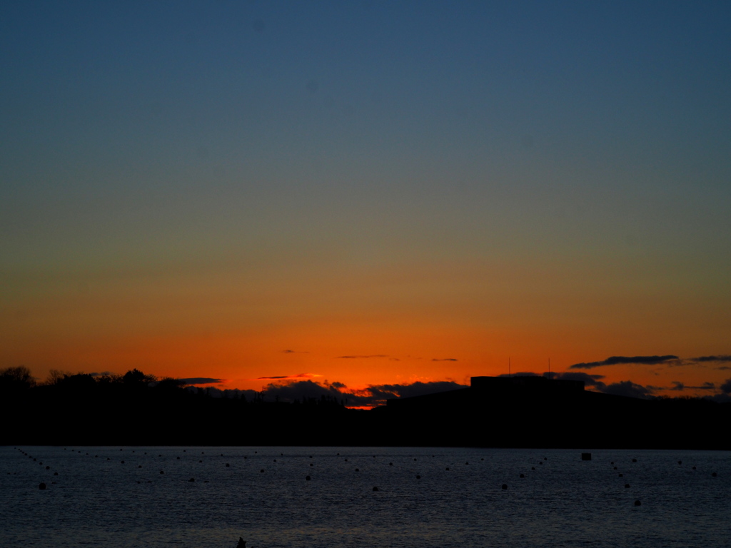 中華レンズで夕景トライ。