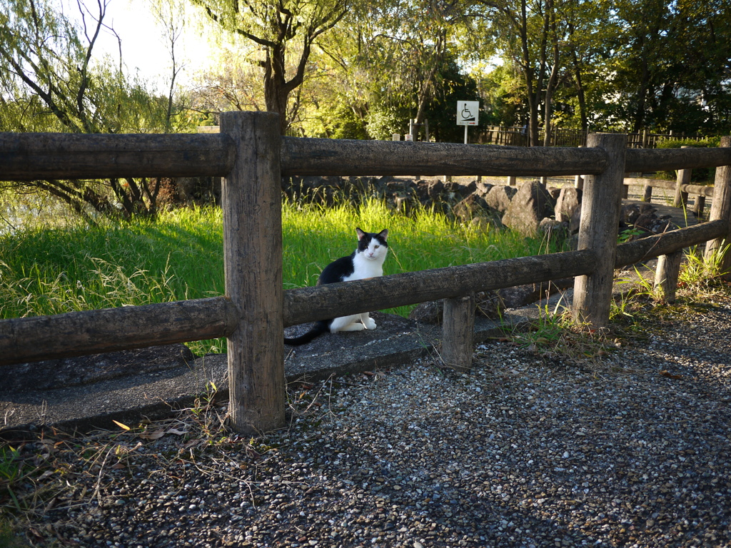 刈谷市洲原公園にて。