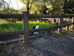刈谷市洲原公園にて。