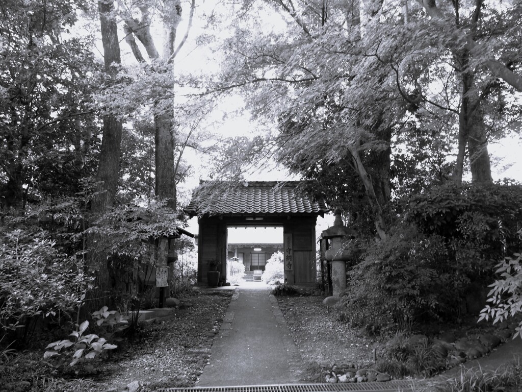 静かなお寺