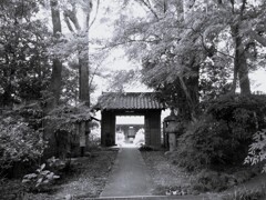 静かなお寺
