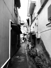 路地