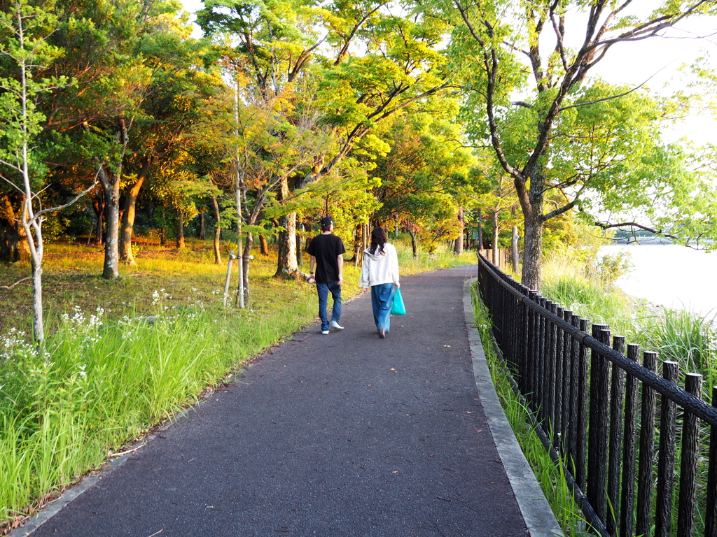 夕刻散歩