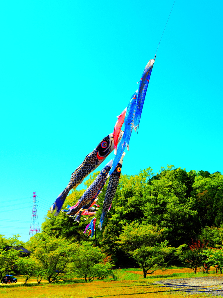 空青く