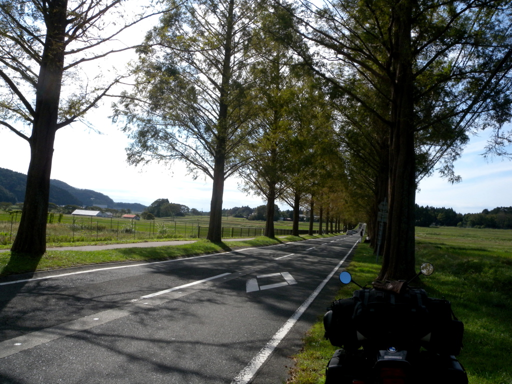 ここまで・旅の途中。