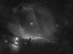 馬頭星雲と燃える木