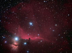 馬頭星雲と燃える木　カラー版