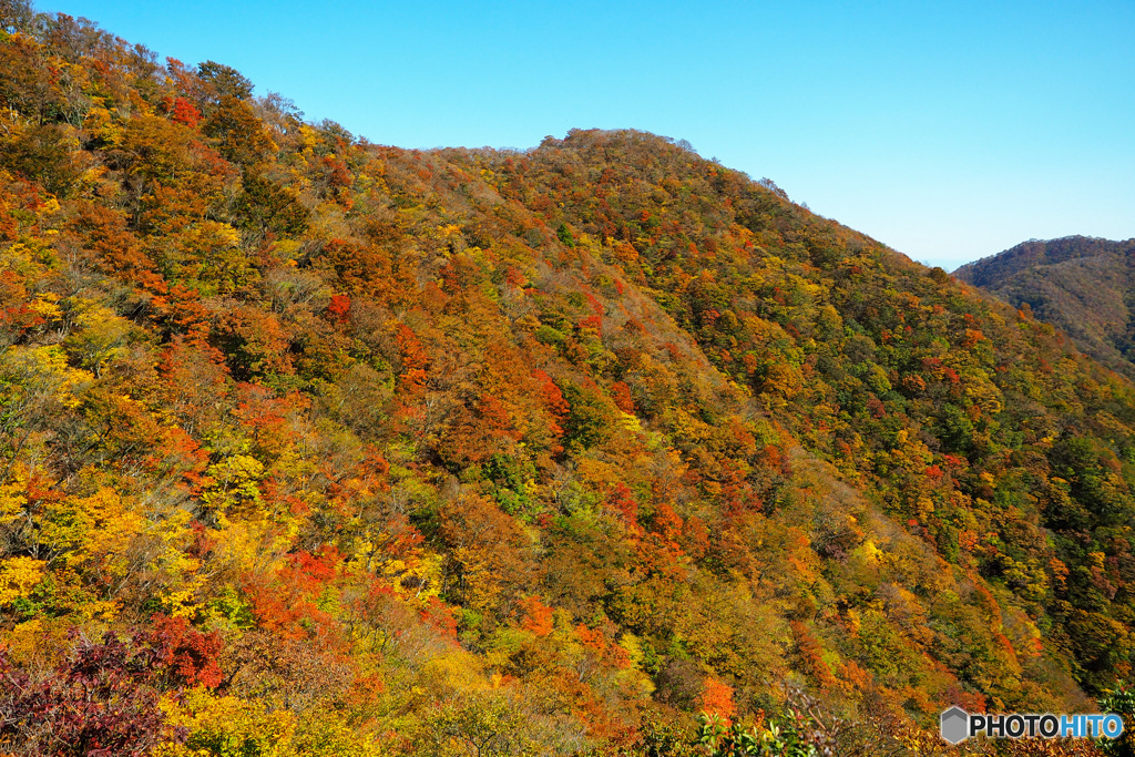 静ヶ岳の紅葉