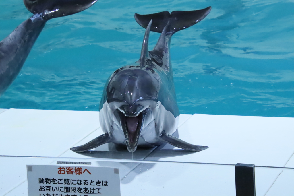 おたる水族館