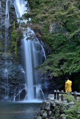 箕面の滝(黄色)