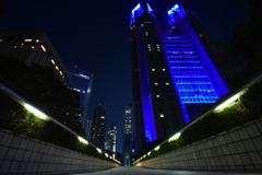 都庁の夜景