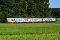 DSC_9548