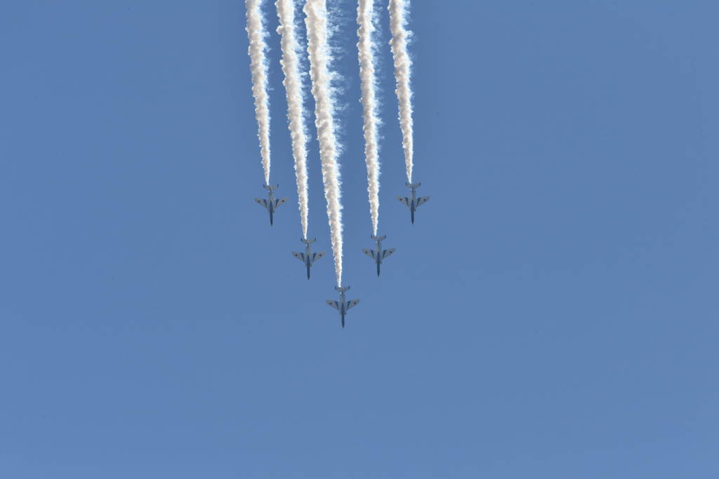 DSC_1401