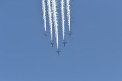 DSC_1401
