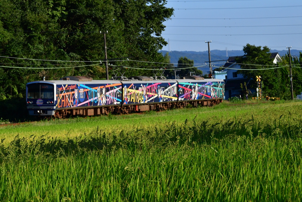 DSC_9624