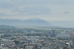 DSC_8242