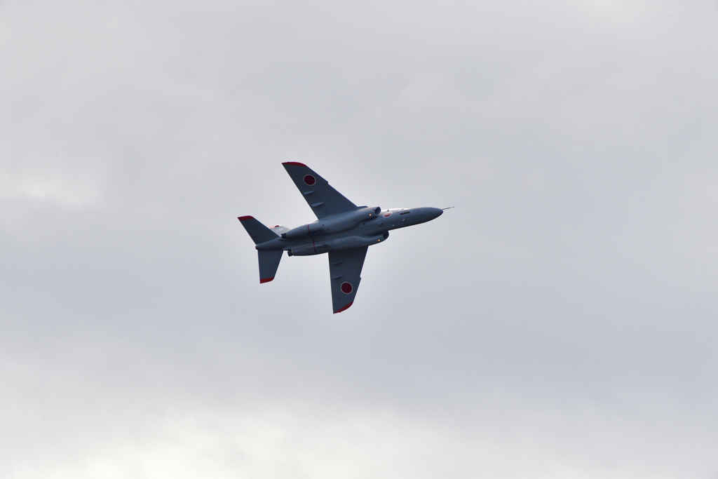 DSC_4416