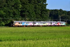 DSC_9537