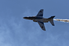 DSC_1347