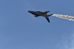 DSC_1338