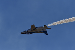 DSC_1365