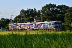 DSC_9605
