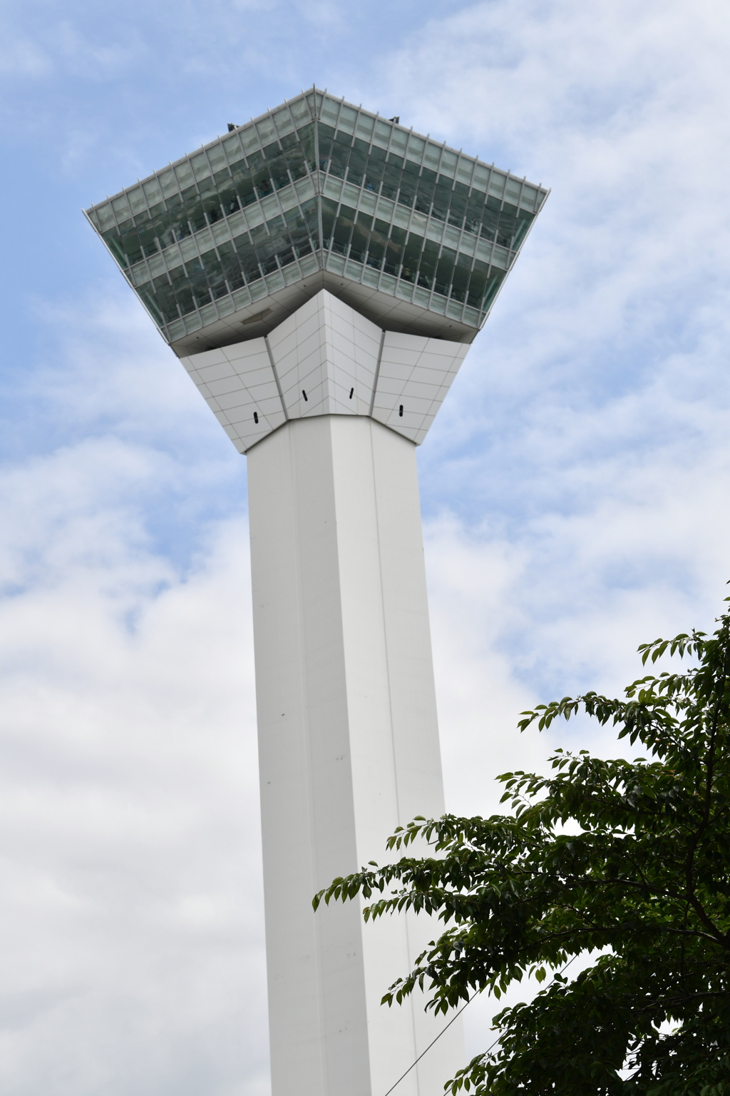 DSC_8236