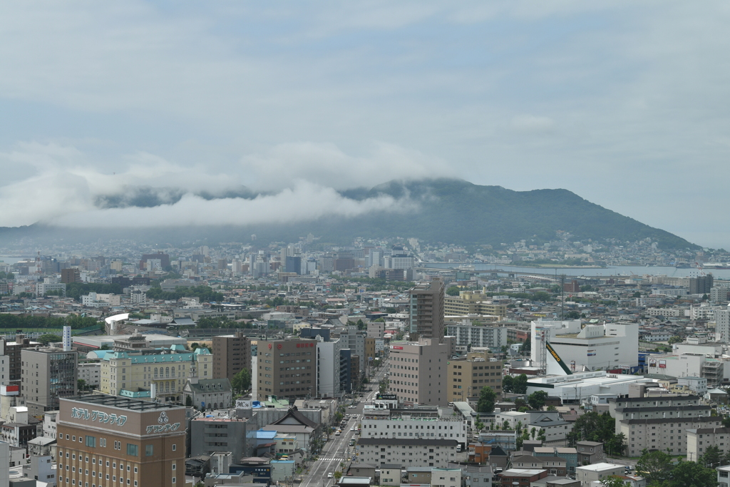 DSC_8247