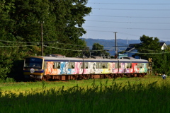 DSC_9650