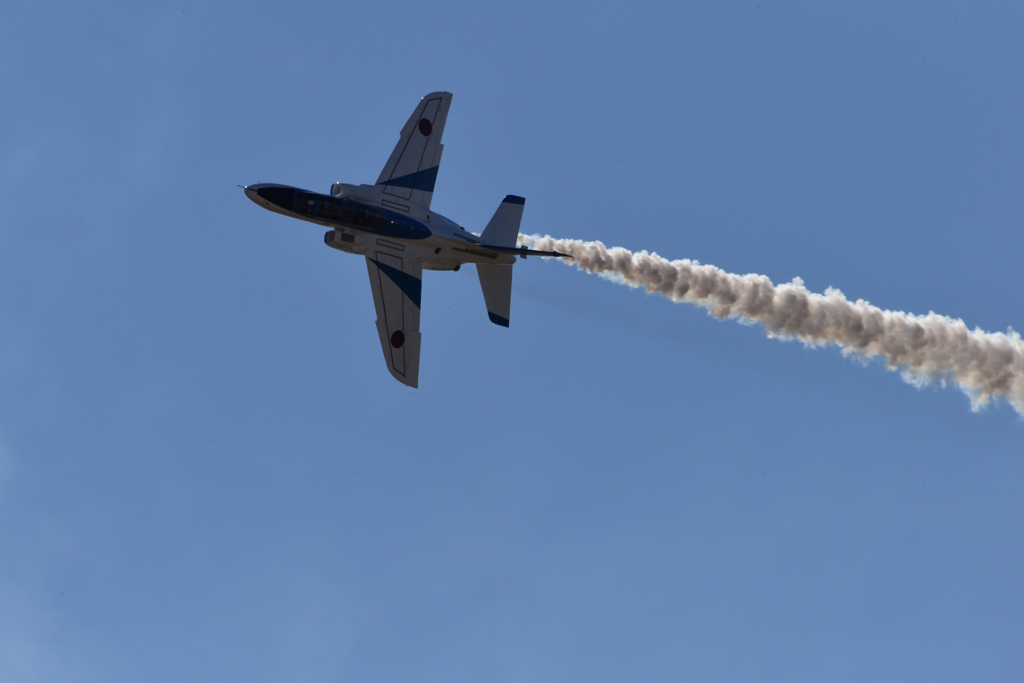 DSC_1334