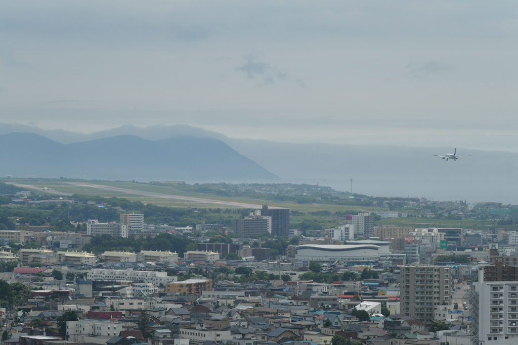 DSC_8265