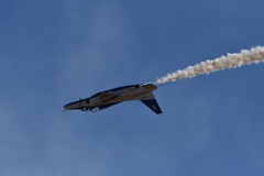 DSC_1366
