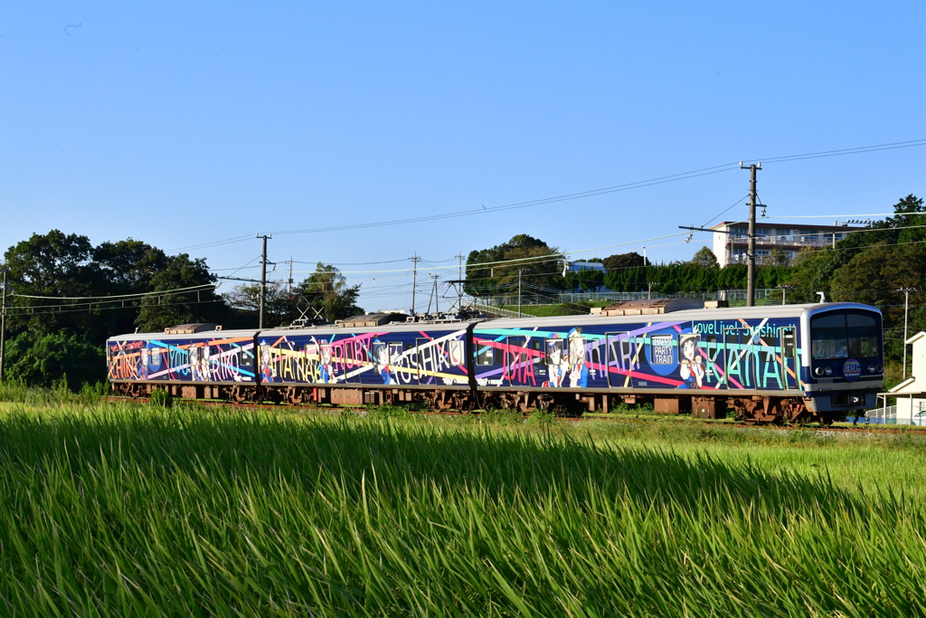 DSC_9618