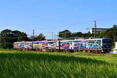 DSC_9618