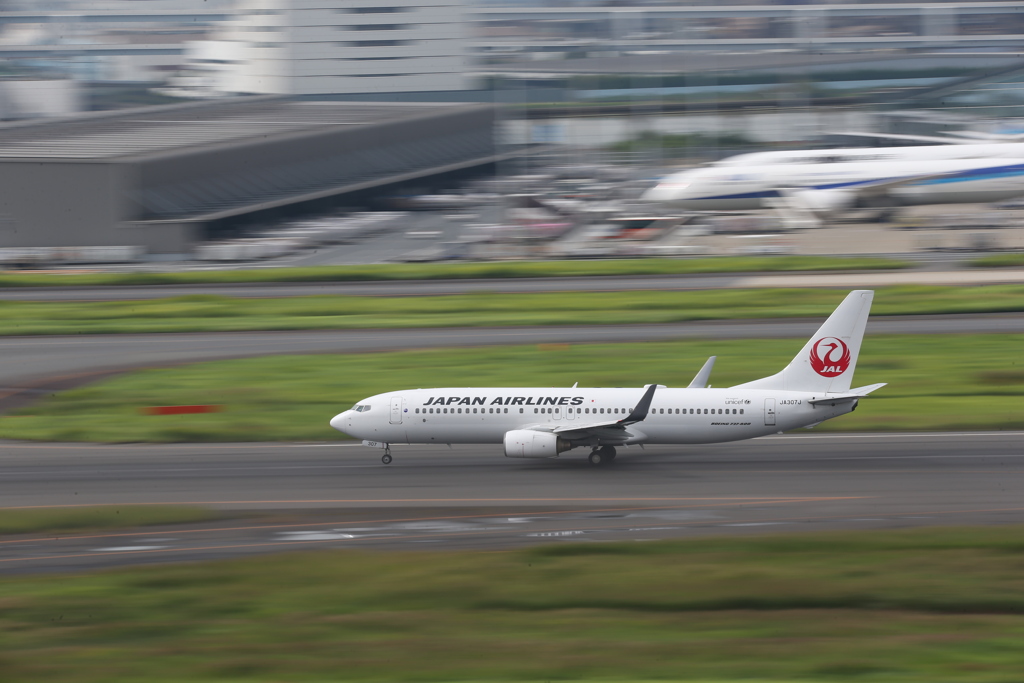 A83W3695