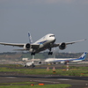 JA815A