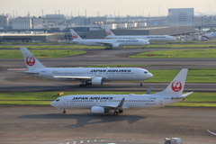 JALだらけ