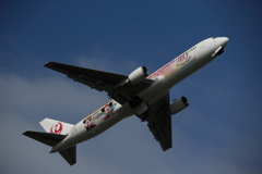 JA614J