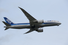 JA817A