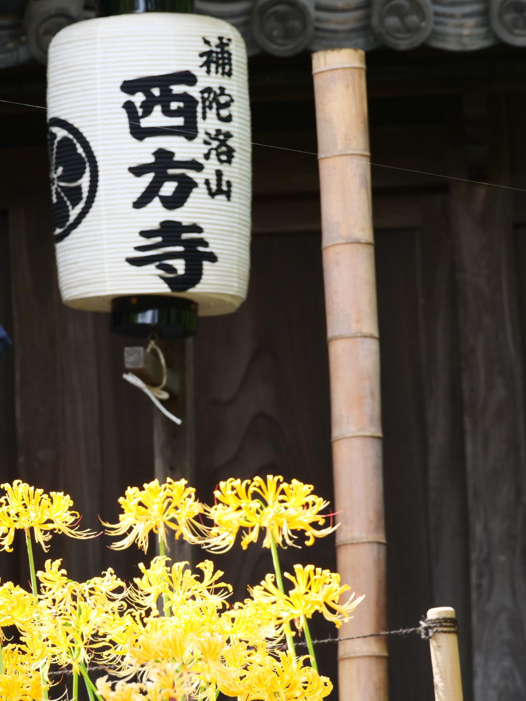 伊那の思い出はちょっと休憩。今日は西方寺に行って来ました。