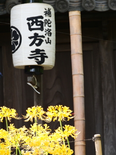 伊那の思い出はちょっと休憩。今日は西方寺に行って来ました。